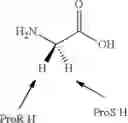 Fig. 24 - Arginase inhibitors and methods of use thereof