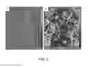 Fig. 07 - Rosette Nanotubes as Drug Delivery Agents
