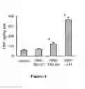 Fig. 05 - Amphiphilic polymer-protein conjugates and methods of use thereof