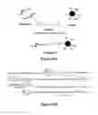 Fig. 09 - Amphiphilic polymer-protein conjugates and methods of use thereof