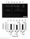 Fig. 13 - Amphiphilic polymer-protein conjugates and methods of use thereof