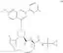 Fig. 124 - Macrocylic inhibitors of hepatitis C virus