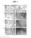 Fig. 02 - Non-pathogenic and/or attenuated bacteria capable of inducing apoptosis in macrophages, process of manufacturing and uses thereof