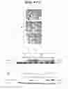 Fig. 06 - Non-pathogenic and/or attenuated bacteria capable of inducing apoptosis in macrophages, process of manufacturing and uses thereof