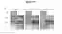Fig. 10 - Non-pathogenic and/or attenuated bacteria capable of inducing apoptosis in macrophages, process of manufacturing and uses thereof