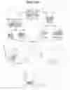 Fig. 15 - Non-pathogenic and/or attenuated bacteria capable of inducing apoptosis in macrophages, process of manufacturing and uses thereof