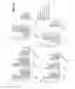 Fig. 18 - Non-pathogenic and/or attenuated bacteria capable of inducing apoptosis in macrophages, process of manufacturing and uses thereof