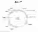 Fig. 29 - Non-pathogenic and/or attenuated bacteria capable of inducing apoptosis in macrophages, process of manufacturing and uses thereof
