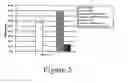 Fig. 06 - EXPRESSION OF VIRUS ENTRY INHIBITORS AND RECOMBINANT AAV THEREFOR