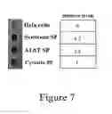 Fig. 08 - EXPRESSION OF VIRUS ENTRY INHIBITORS AND RECOMBINANT AAV THEREFOR