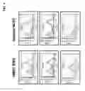Fig. 05 - METHOD FOR TREATING PANCREATITIS WITH MESENCHYMAL STEM CELLS