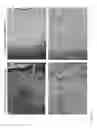 Fig. 07 - Methods and compositions for in vitro and in vivo chondrogenesis