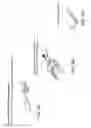 Fig. 03 - Methods Of Engineering Neural Tissue