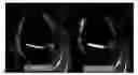 Fig. 01 - METHODS AND COMPOSITIONS FOR THE TREATMENT, PREVENTION, AND ALLEVIATION OF BONE AND CARTILAGE DISEASES OR INJURIES AND HAIR LOSS