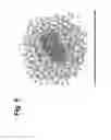 Fig. 06 - CELLULAR HYDRATION COMPOSITIONS