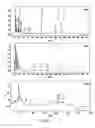 Fig. 05 -  METHOD FOR PRODUCING A NUTRACEUTICAL COMPOSITION AND THE NUTRACEUTICAL PRODUCED BY THE METHOD