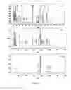 Fig. 06 -  METHOD FOR PRODUCING A NUTRACEUTICAL COMPOSITION AND THE NUTRACEUTICAL PRODUCED BY THE METHOD