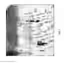 Fig. 08 - Debriding composition from bromelain and methods of production thereof