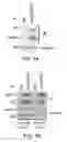 Fig. 02 - Methods and materials for modulating deubiquitinases and ubiquitinated polypeptides