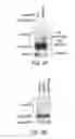 Fig. 09 - Methods and materials for modulating deubiquitinases and ubiquitinated polypeptides