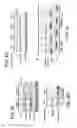 Fig. 20 - Methods and materials for modulating deubiquitinases and ubiquitinated polypeptides