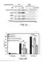 Fig. 21 - Methods and materials for modulating deubiquitinases and ubiquitinated polypeptides