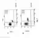 Fig. 04 - Method of Cell Differentiation and Uses Therefor in Screening, Diagnosis and Therapy