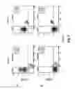 Fig. 06 - Method of Cell Differentiation and Uses Therefor in Screening, Diagnosis and Therapy