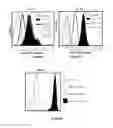 Fig. 06 - Galectin-immunoglobulin chimeric molecules