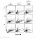 Fig. 12 - Galectin-immunoglobulin chimeric molecules
