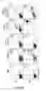 Fig. 19 - Galectin-immunoglobulin chimeric molecules
