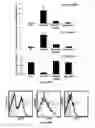 Fig. 28 - Galectin-immunoglobulin chimeric molecules
