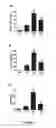 Fig. 05 - Methods of stimulating liver regeneration
