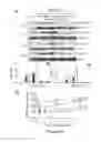 Fig. 10 - Methods of stimulating liver regeneration