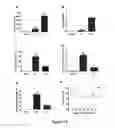 Fig. 14 - Methods of stimulating liver regeneration