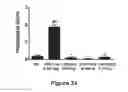 Fig. 25 - Methods of stimulating liver regeneration