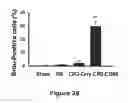 Fig. 29 - Methods of stimulating liver regeneration