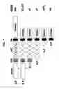 Fig. 02 - METHODS AND COMPOSITIONS FOR INHIBITING C-MET DIMERIZATION AND ACTIVATION