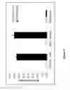 Fig. 06 - Therapeutic compositions and methods for the prevention of autoimmune diseases