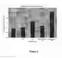 Fig. 05 - High affinity antibodies that neutralize enterotoxin B