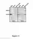 Fig. 12 - High affinity antibodies that neutralize enterotoxin B