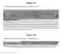 Fig. 16 - High affinity antibodies that neutralize enterotoxin B