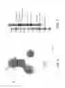 Fig. 13 - MARKERS OF XMRV INFECTION AND USES THEREOF