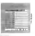 Fig. 18 - MARKERS OF XMRV INFECTION AND USES THEREOF