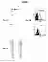 Fig. 08 - IMMUNIZATION AGAINST CHLAMYDIA PNEUMONIAE