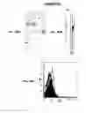 Fig. 100 - IMMUNIZATION AGAINST CHLAMYDIA PNEUMONIAE