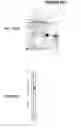 Fig. 137 - IMMUNIZATION AGAINST CHLAMYDIA PNEUMONIAE