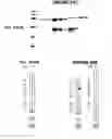 Fig. 158 - IMMUNIZATION AGAINST CHLAMYDIA PNEUMONIAE