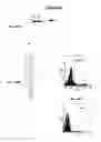 Fig. 29 - IMMUNIZATION AGAINST CHLAMYDIA PNEUMONIAE
