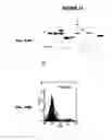 Fig. 32 - IMMUNIZATION AGAINST CHLAMYDIA PNEUMONIAE